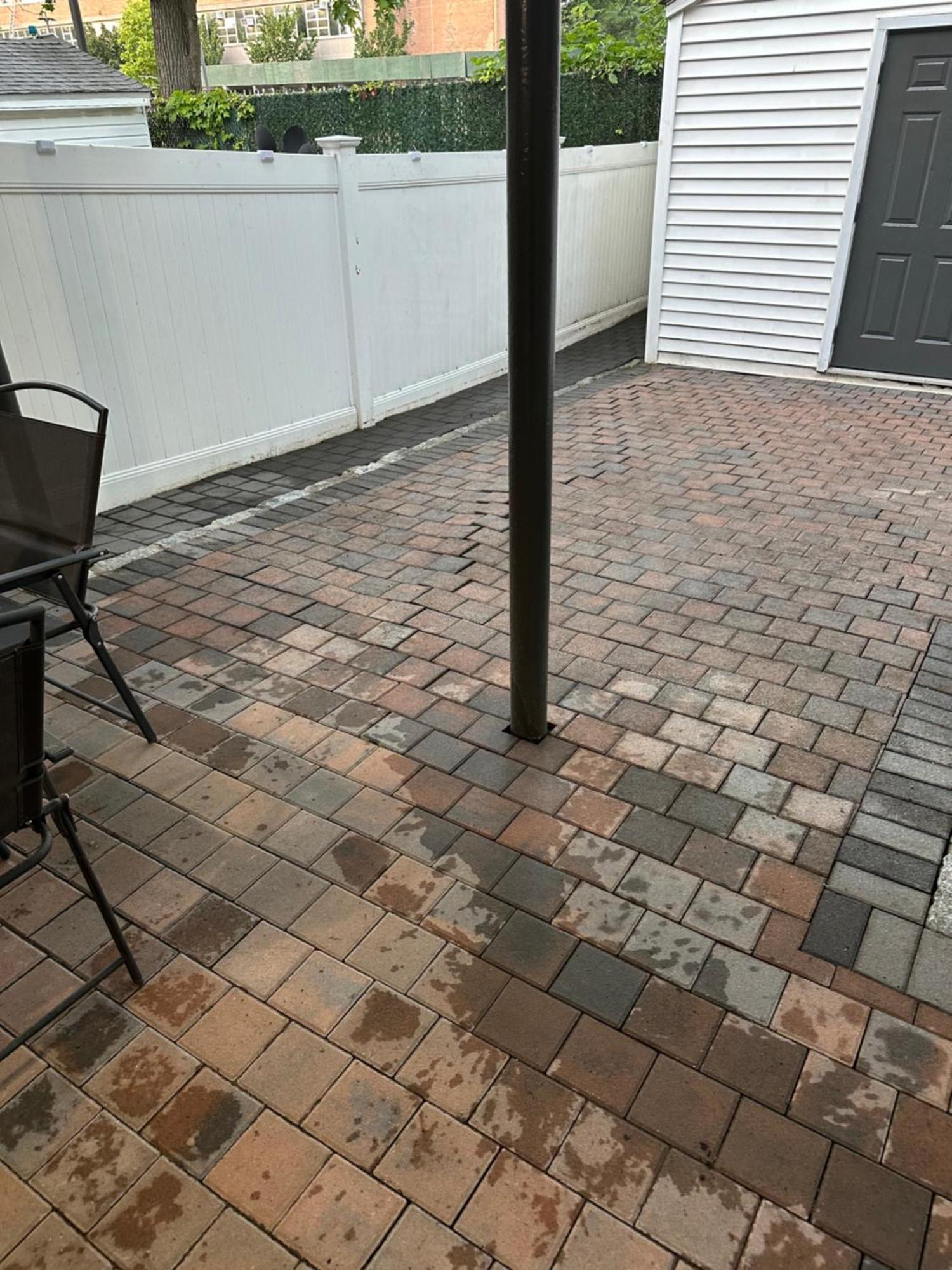 Morris Park Area Apartment New York Exterior foto